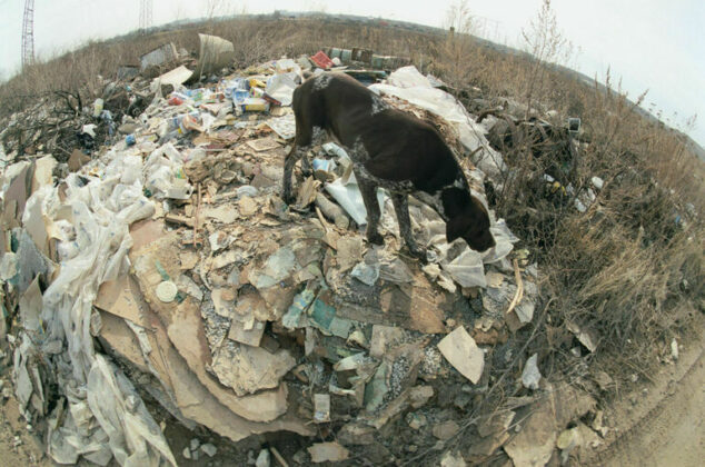 Федеральный закон от 7 февраля 2011 года 3-фз о полиции. 02 2011. Закон 3 фз от 07. Фз 3 о полиции. 02.