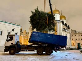 Вторая жизнь Кремлевской елки